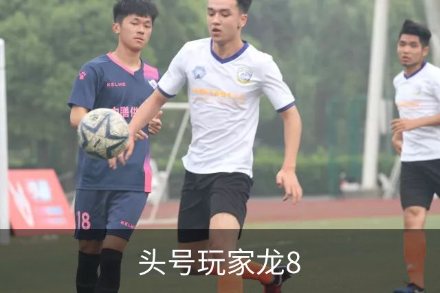头号玩家龙8 公司简介
